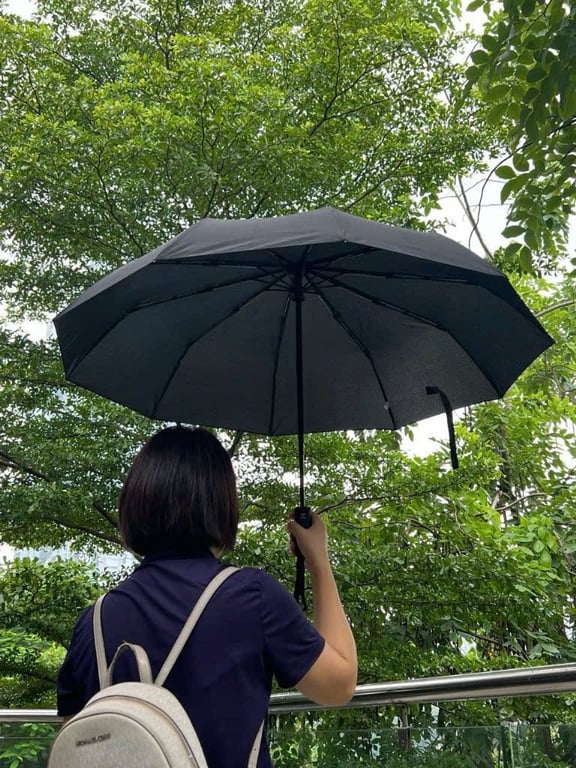 Ô gấp tự động 2 chiều 10 nan kaiyo