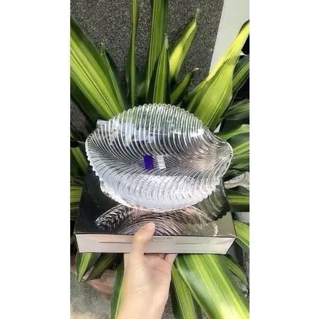 Set 3 ĐĨA THUỶ TINH HÌNH LÁ