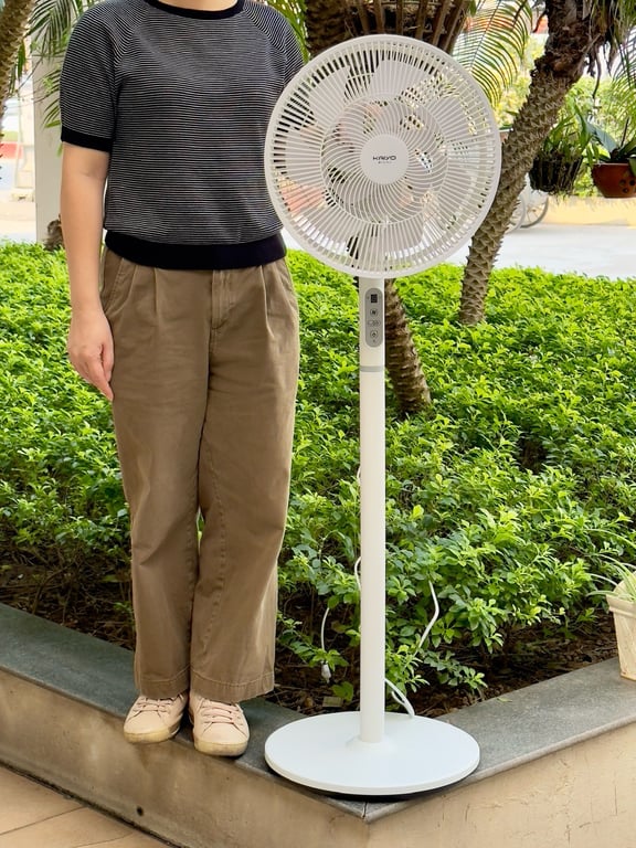 Quạt cây 7 cánh điều khiển từ xa Kaiyo Nhật 2025