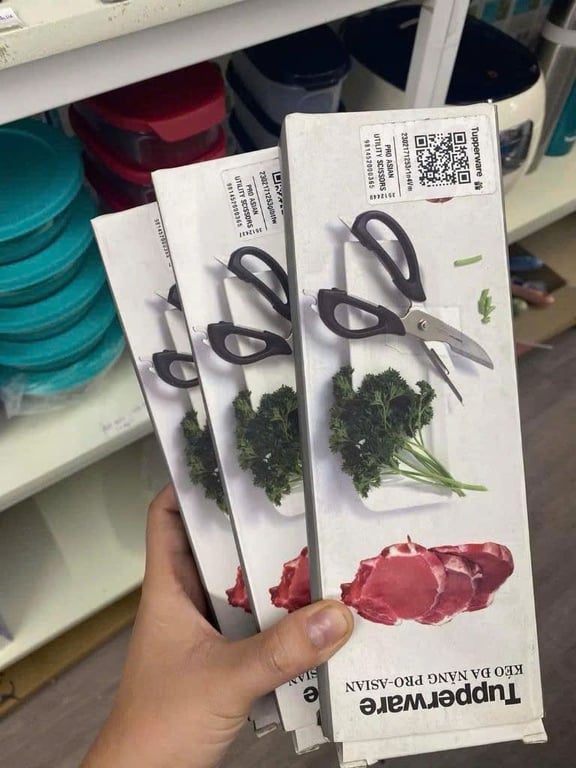 𝗞𝗲́𝗼 đ𝗮 𝗻𝗮̆𝗻𝗴 𝗣𝗿𝗼-𝗔𝘀𝗶𝗮𝗻 TUPPERWARE