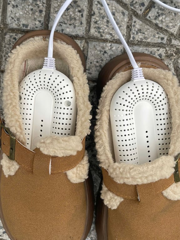 Máy sấy giày Lumias SD1