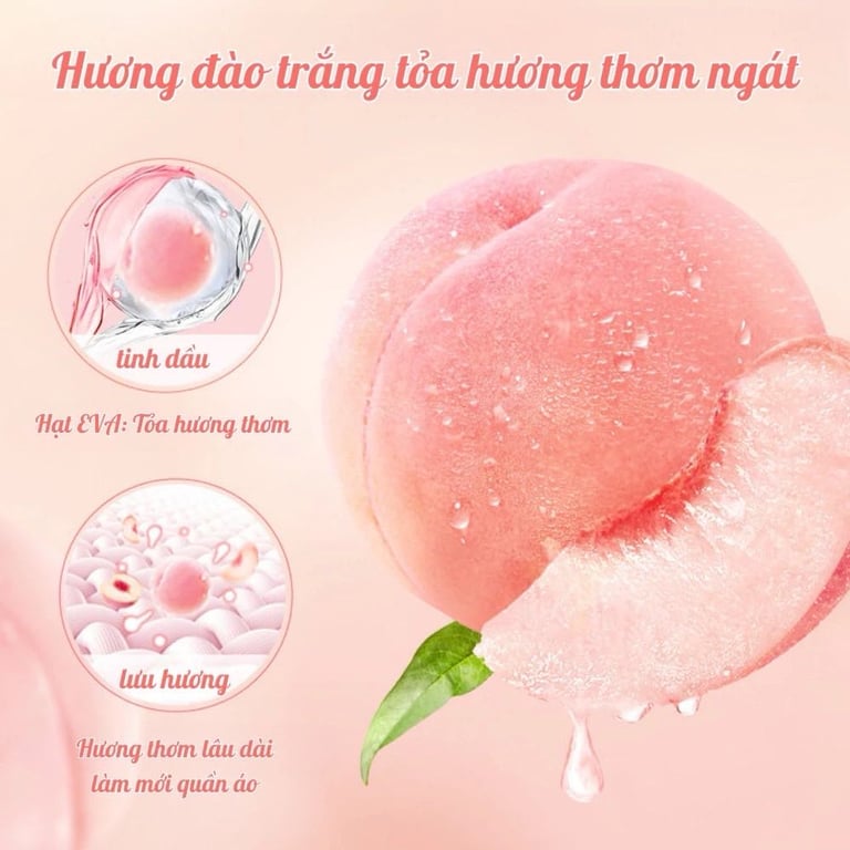 SET 2 HỘP HÚT ẨM 3IN1 – HỒNG NGỌT NGÀO & XANH MÁT LẠNH