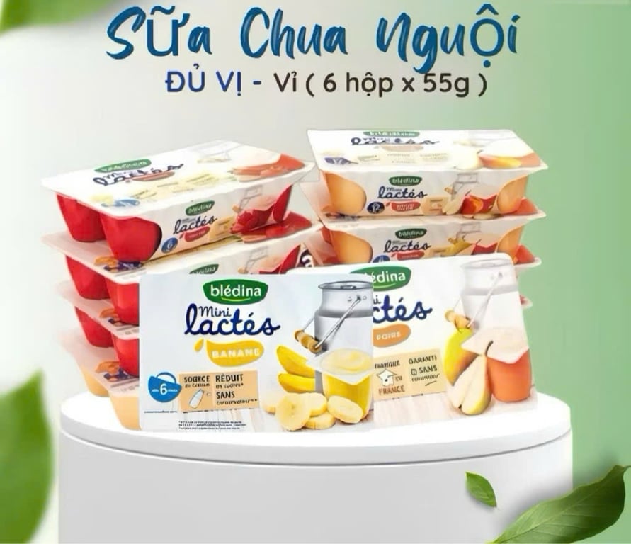 Sữa Chua Nguội Bledina Lactes Pháp cho Bé từ 6 Tháng(6h/1vỉ)