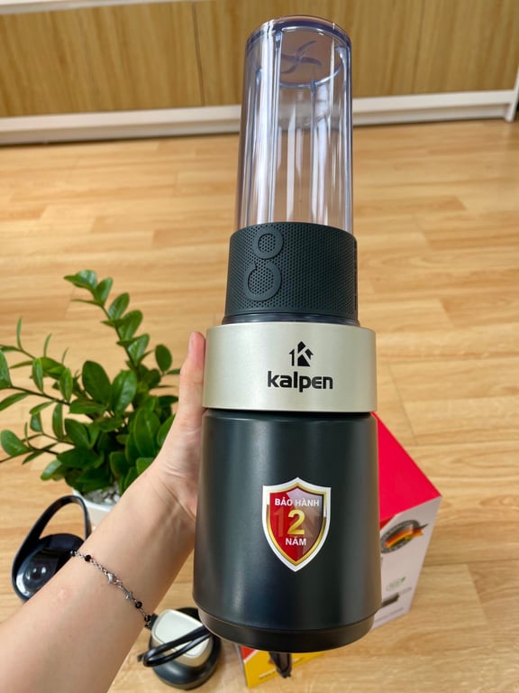 MÁY XAY SINH TỐ CAO CẤP KALPEN B6