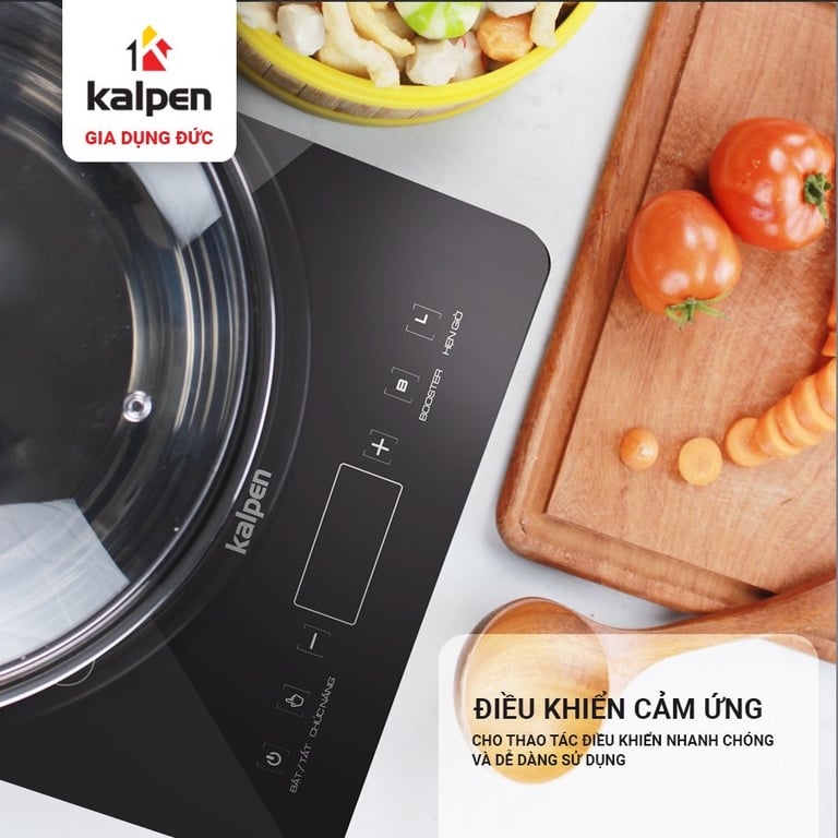 🥳 BẾP TỪ ĐƠN KALPEN ICK-1668