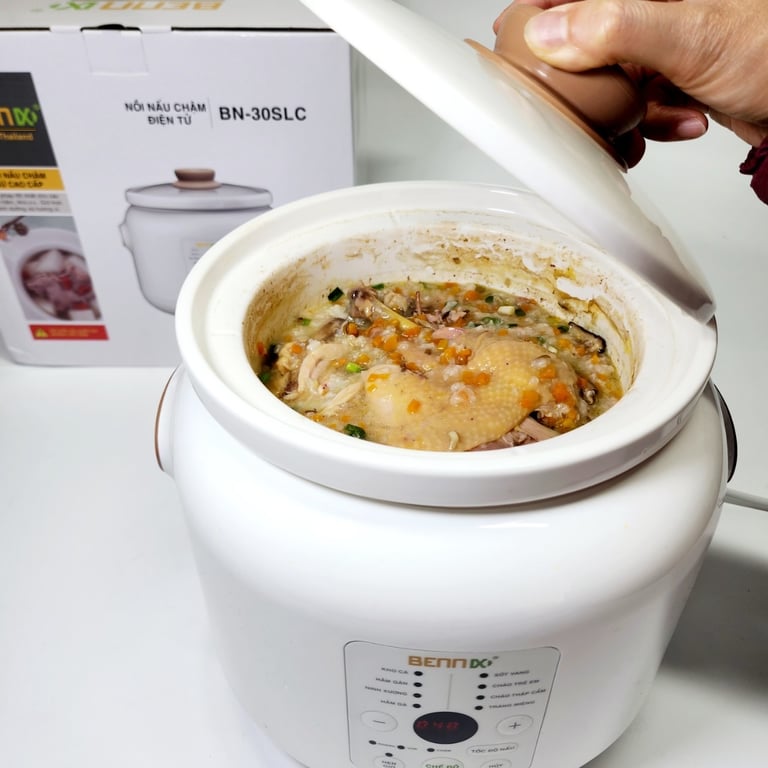 Nồi nấu chậm 3 Lít Bennix BN-30SLC