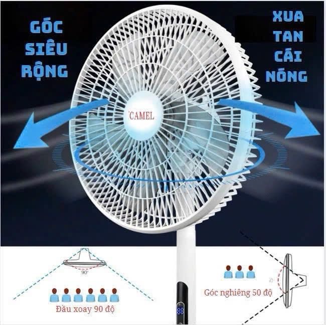 Quạt cây Camel