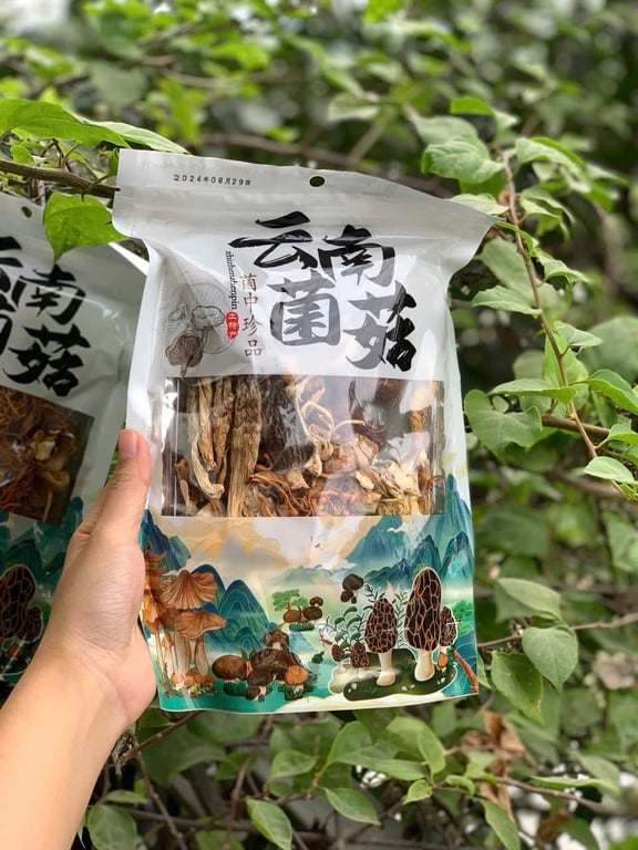 Set 2 gói 10 loại nấm quý Vân Nam (100g/gói)