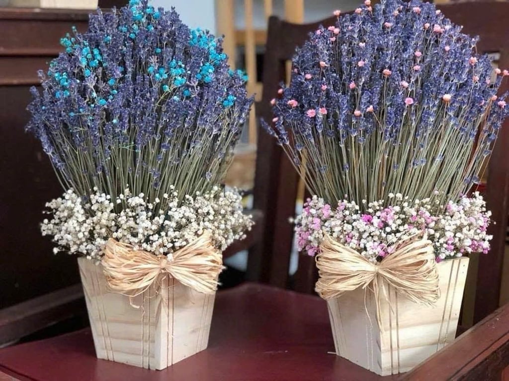Set 2 bó Hoa Oải Hương Lavender Nhập Khẩu