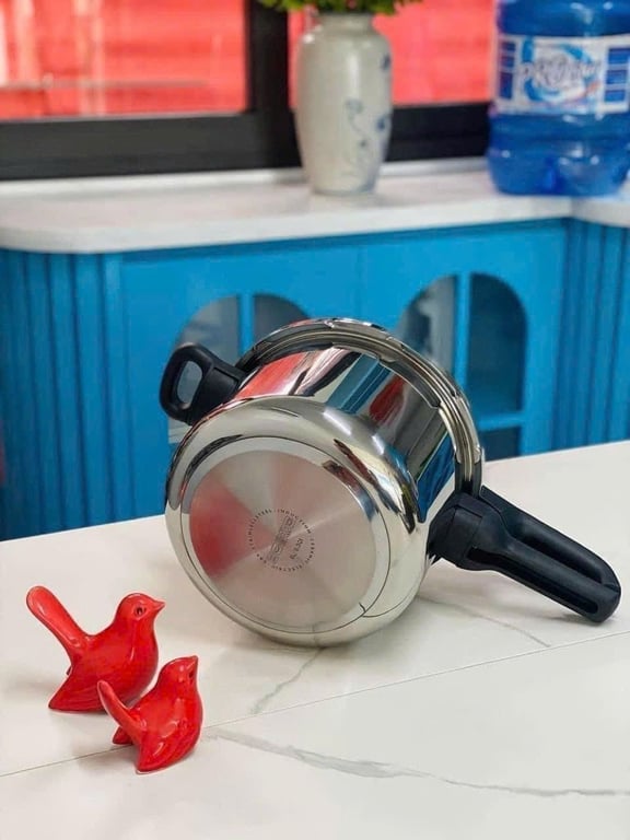 NỒI ÁP SUẤT CƠ INOX TEFAL SECURE 5 NEO 6L