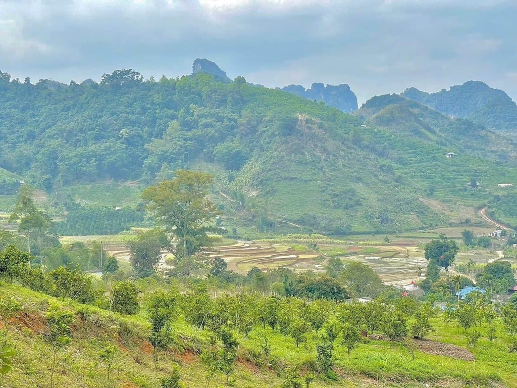 5653m2 có 400m2 thổ cư Đất Hợp Phong- Cao Phong- Hoà Bình