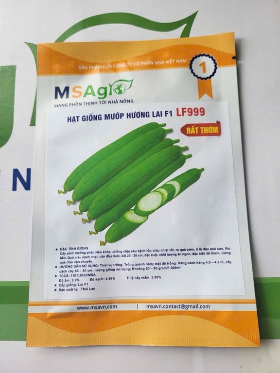 Mướp hương Siêu Năng suất lại còn THƠM  lai F1 LF999