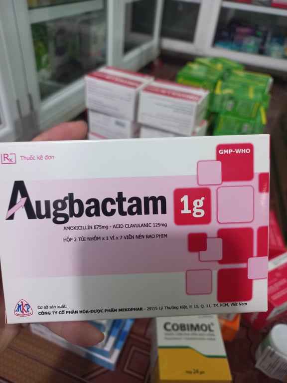 Augbactam 1g meko h/14v