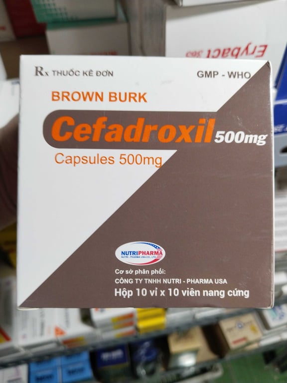 Cefadroxil 500 ấn h/100v