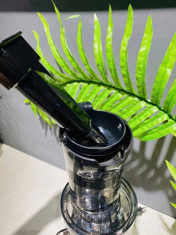 Máy ép chậm Locknlock Bianco Slow Juicer 0.8L màu trắng ngà EJJ421IVY