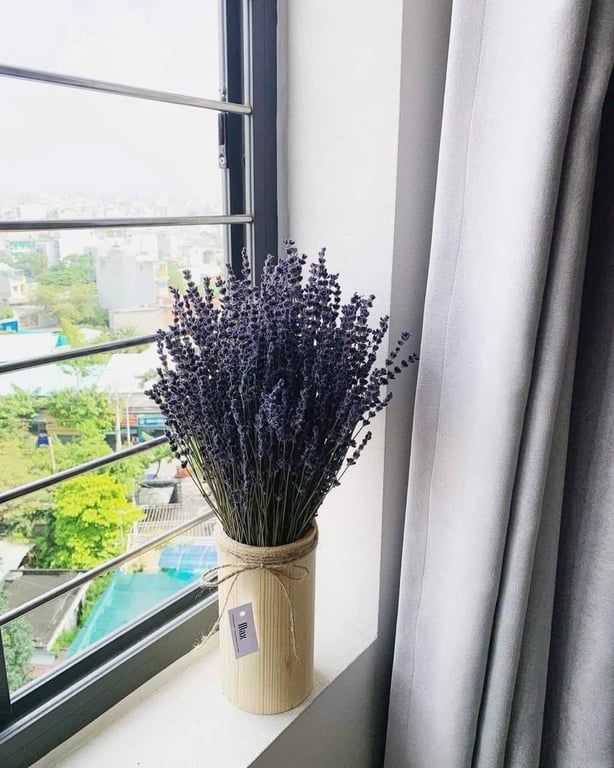 Set 2 bó  oải hương - Lavender khô hàng nhập pháp