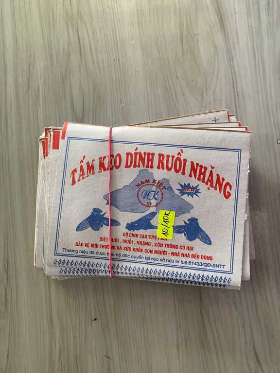 Dán ruồi