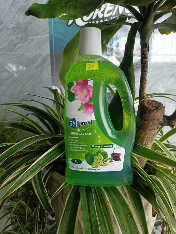 Nước Lau sàn hương sả chanh