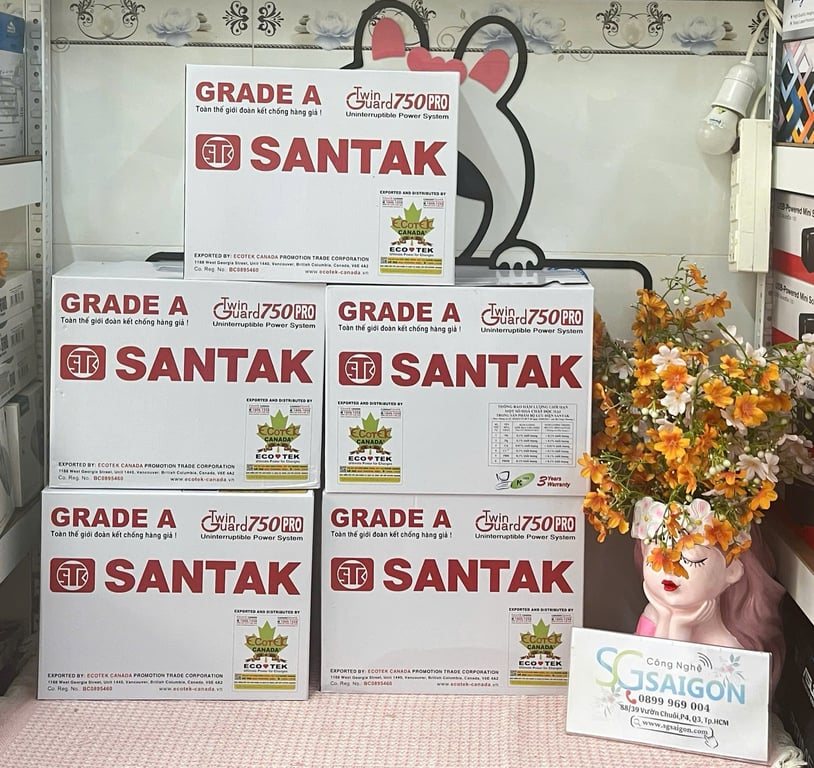 Bộ Lưu Điện UPS Offline Santak TG750 PRO (300W-750VA)