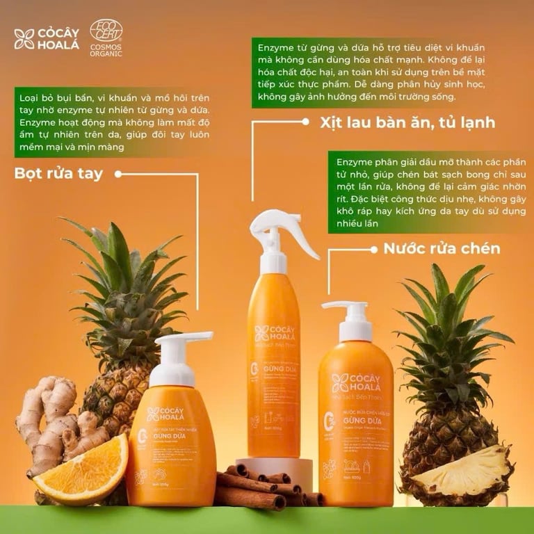 Bộ sản phẩm Nhà sạch bếp thơm Gừng Dứa CỎ CÂY HOA LÁ