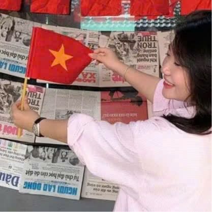 Set 10 Cờ vẫy tay Quốc kỳ Việt Nam