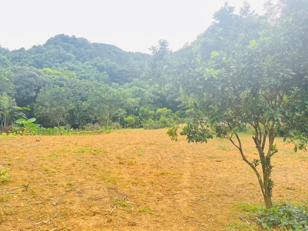 1500m2-200m2 ONT tại Phú Cường, Tân Lạc, Hoà Bình