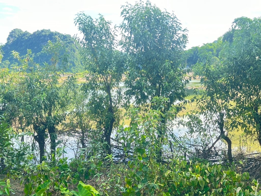 3830 m2 có 2000 m2 thổ cư tại Yên Thuỷ, Hoà Bình