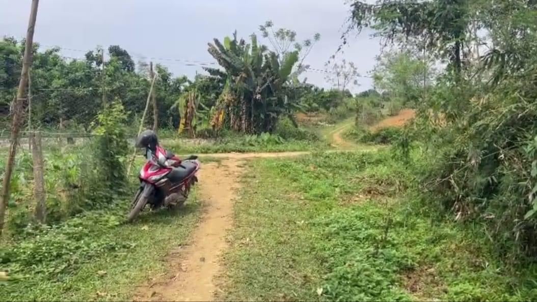 2500m2 tại Lỗ Sơn,Tân Lạc, Hoà Bình