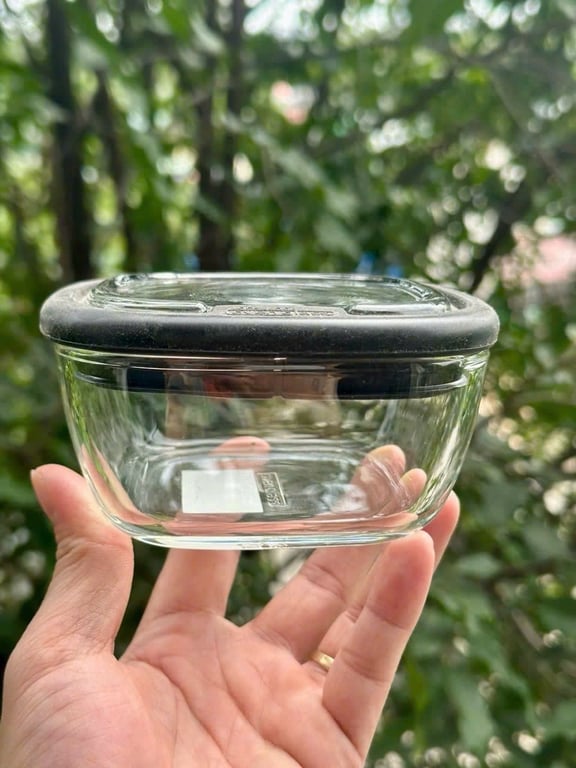 lock Oven Glass Line 300ml LLG950