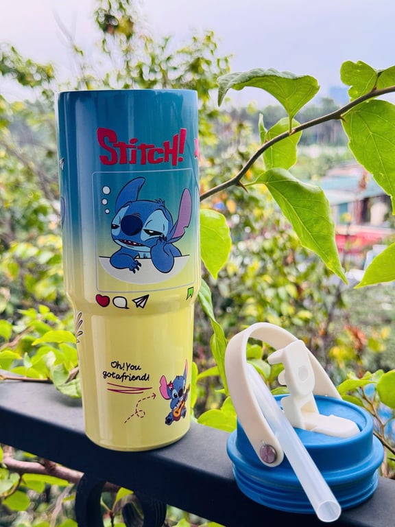 BÌNH GIỮ NHIỆT LABUBU, STITCH, HOẠT HÌNH 900ml