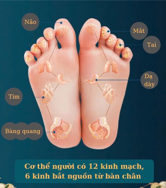 🍂 MK38 - Set 120 gói ngâm chân thảo dược Ngải cứu+ Gừng + Nghệ Tây + Ích Mẫu GHA300