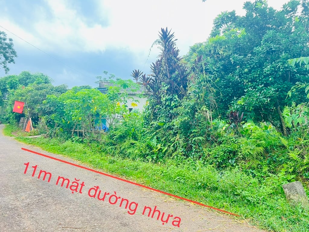 Nhân Mỹ- Tân Lạc- Hoà Bình (496m2)