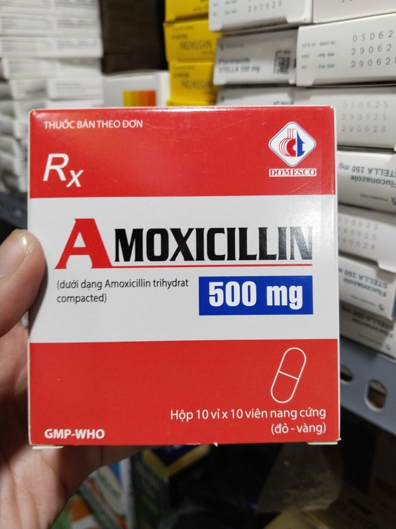 Amoxicillin 500 dmc h/100v nang