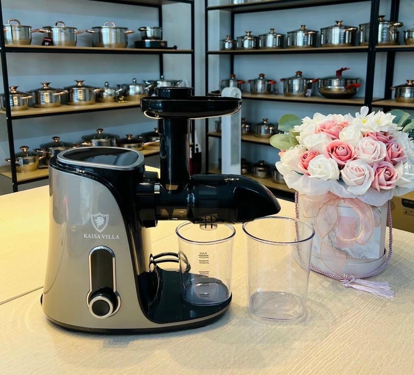 Máy Ép Trái Cây Tốc Độ Chậm Trục Ngang Kaisa Villa KV-ZS168