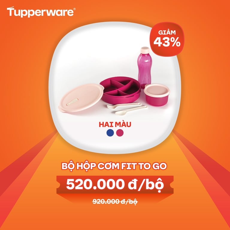 Bộ hộp cơm fit to go