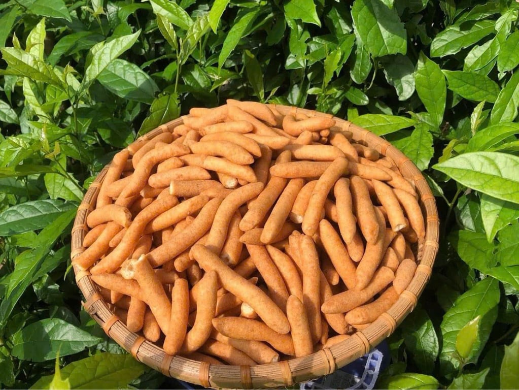 Quẩy nếp Điện Biên