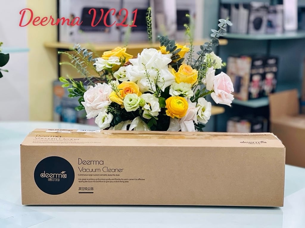 máy hút bụi Deerma VC21
