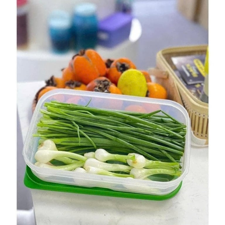 Set 2 Hộp vent 1.8L đỉnh cao trữ rau