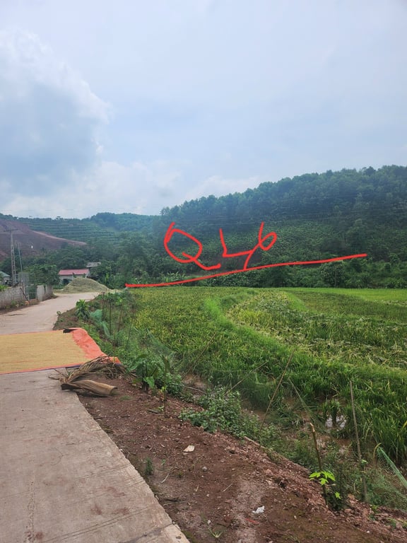 Phong Phú, Tân Lạc, Hoà Bình (~200m2 full thổ cư)