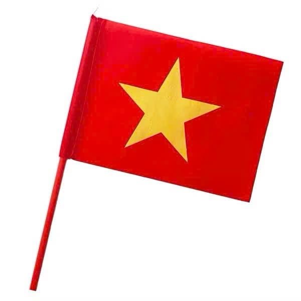 Set 10 Cờ vẫy tay Quốc kỳ Việt Nam