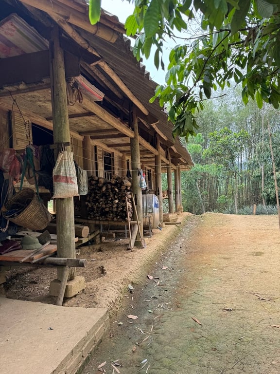 2740m2 có 400m2 ONT tại Bản Ngòi, Suối Hoa,Tân Lạc, Hoà Bình