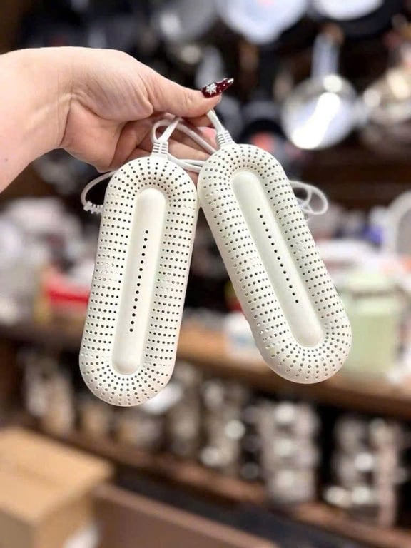 Máy sấy giày Lumias SD1