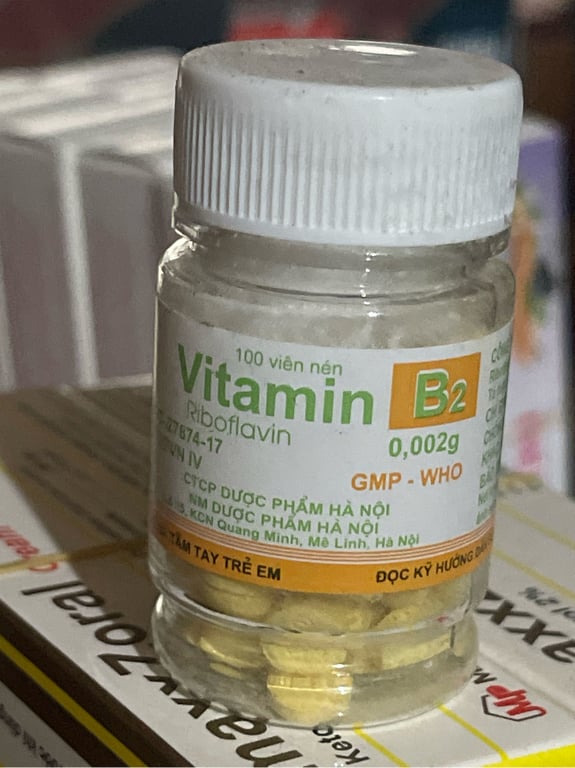 B2 lọ 100v hà nội