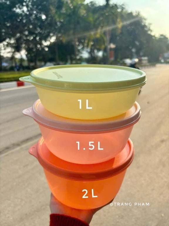 Set 3  bát tupper ware 1L, 1.5L, 2L