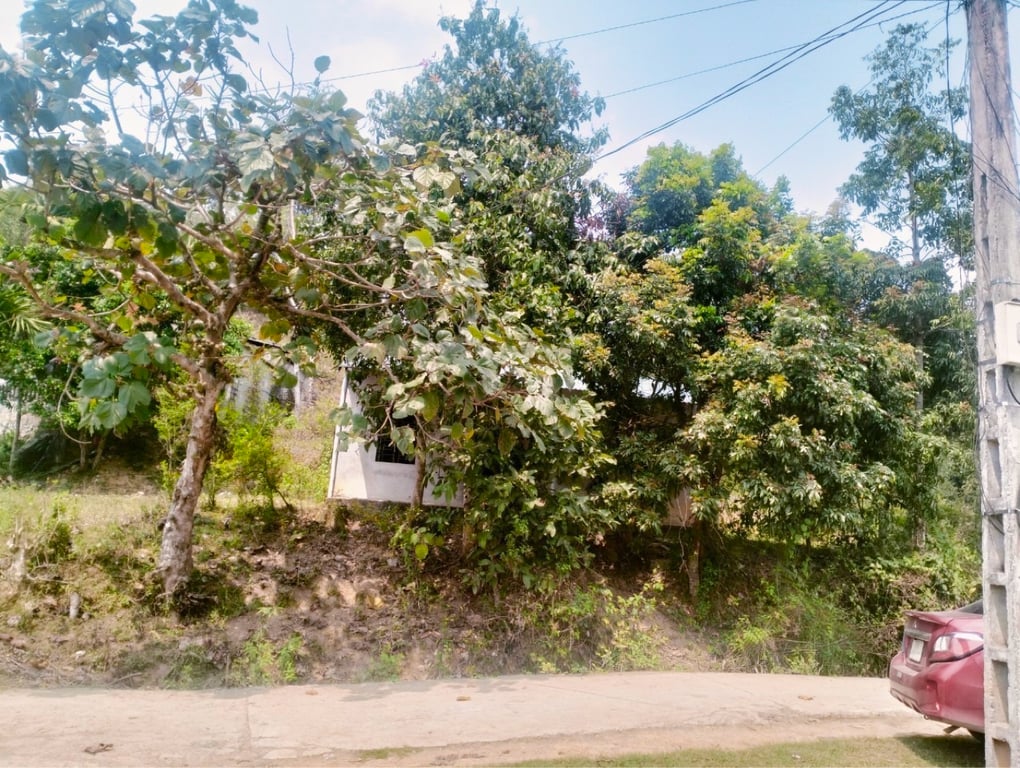 Lô góc hai mặt tiền siêu đẹp hơn 1000m2 có 700m2 thổ cư tại Kim Bôi, Hoà Bình