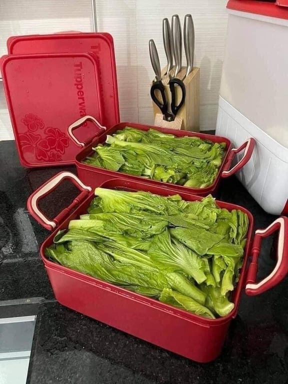 SET 2 HỘP KIM CHI TUP SIÊU TO KHỔNG