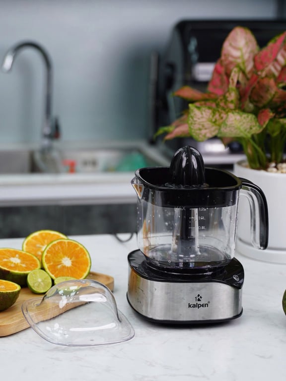 MÁY VẮT CAM KALPEN J22