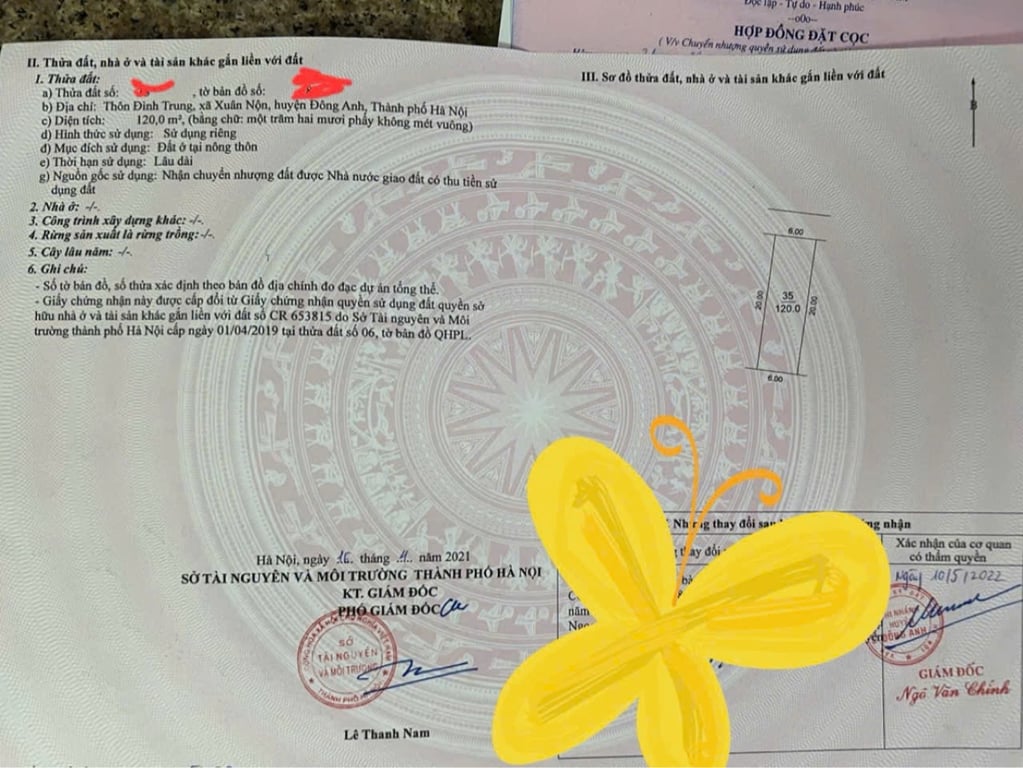 120m2 giãn dân tại Đình Trung, Xuân Nộn, Đông Anh, Hà Nội