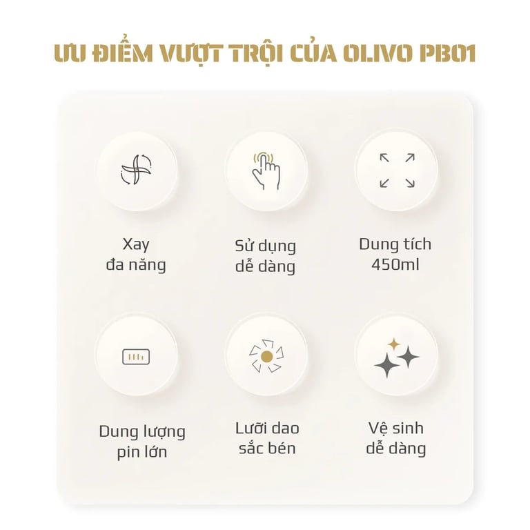 MÁY XAY SINH TỐ CẦM TAY OLIVO PB01