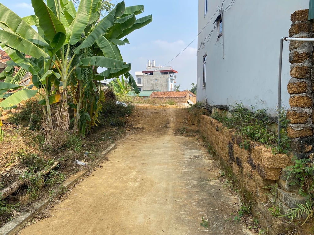 80.6m2 Tân Xã, Thạch Thất, Hòa Lạc. Sẵn 60m2 thổ cư, còn lại đất CLN